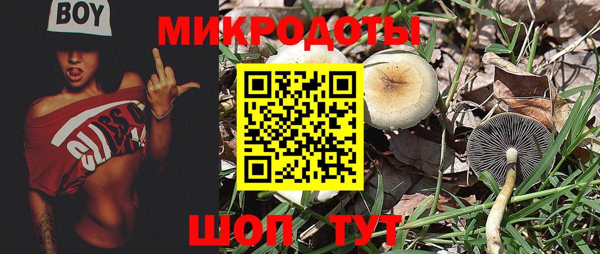 Псилоцибиновые грибы Magic Shrooms Вязьма
