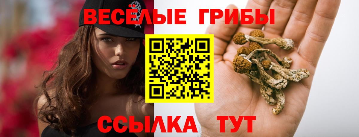 Вязьма  Галлюциногенные грибы GOLDEN TEACHER  Вход с VPN 